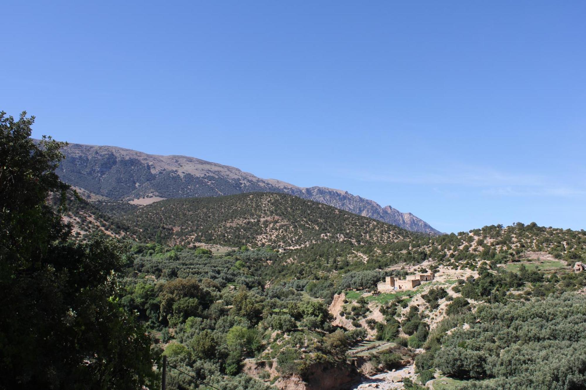 Gite Skoura Caid Bou Malla Dış mekan fotoğraf
