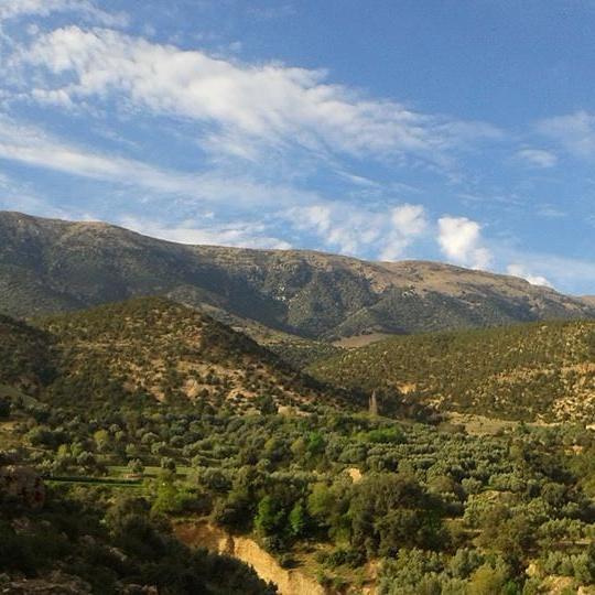 Gite Skoura Caid Bou Malla Dış mekan fotoğraf